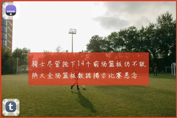 骑士尽管抢下14个前场篮板仍不敌热火全场篮板数据揭示比赛悬念