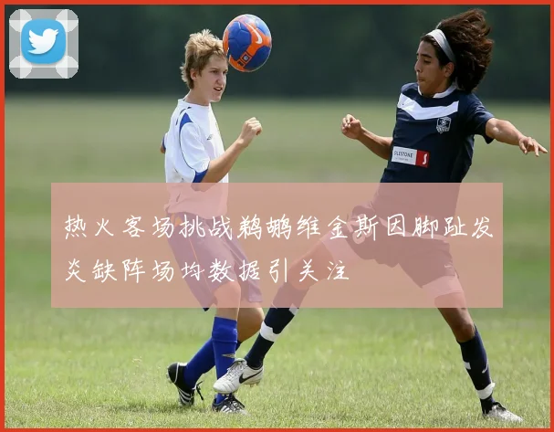 热火客场挑战鹈鹕维金斯因脚趾发炎缺阵场均数据引关注