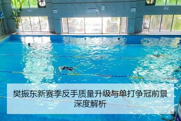 樊振东新赛季反手质量升级与单打争冠前景深度解析（BSports）